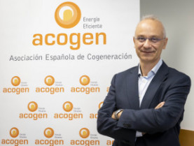 Acogen ruben 58012